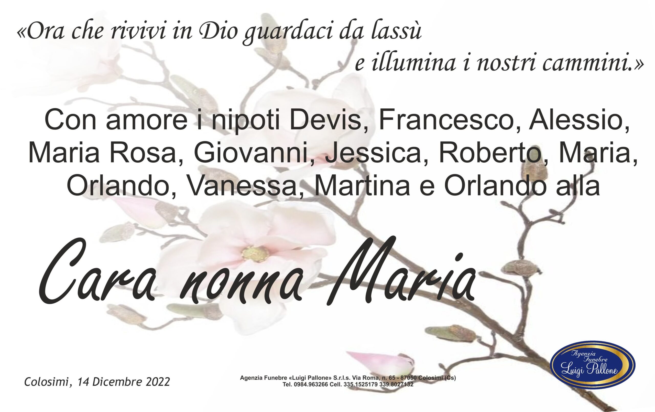 MANIFESTO nipoti Regnante
