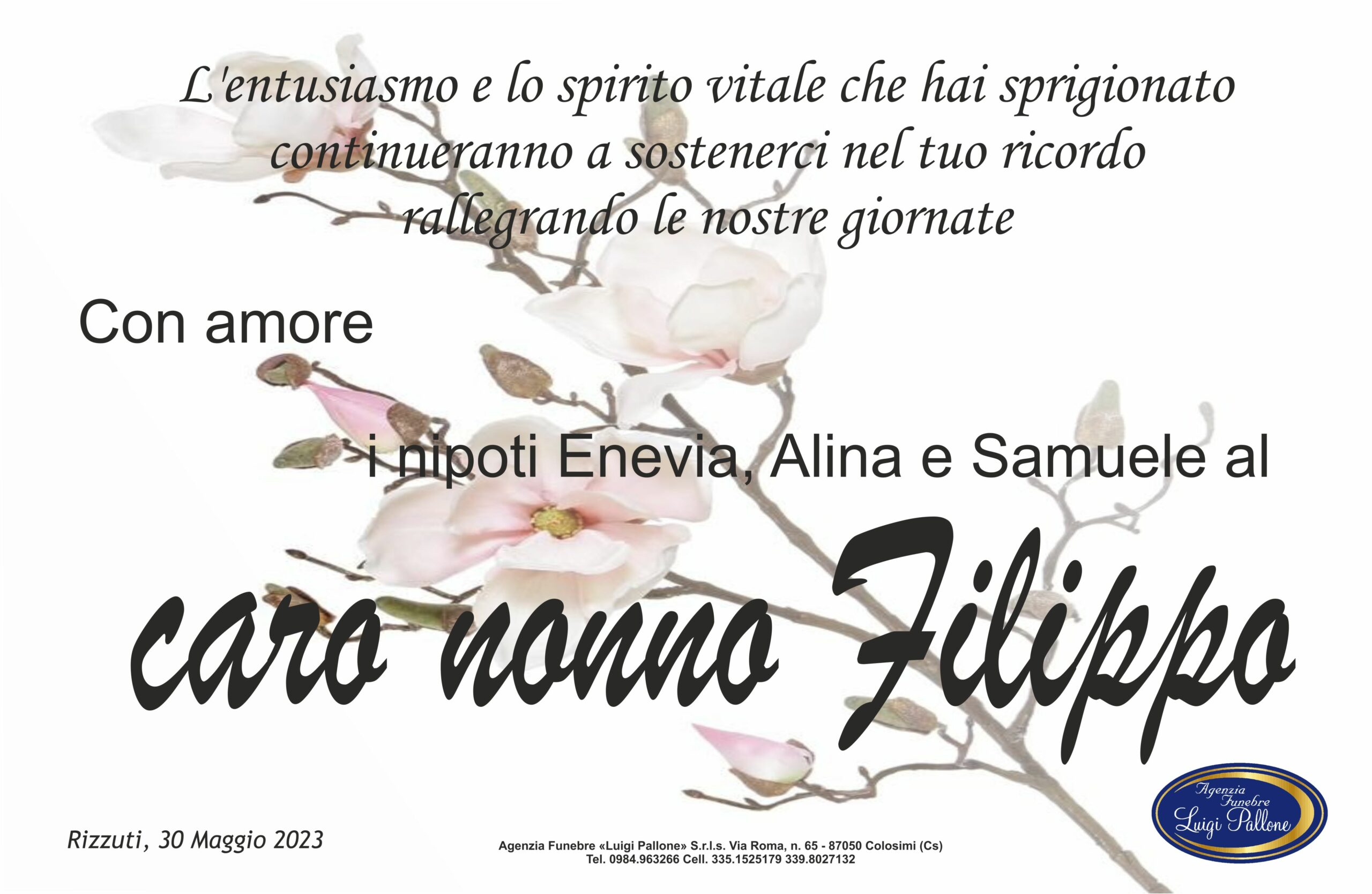 MANIFESTO partecipazione Apa