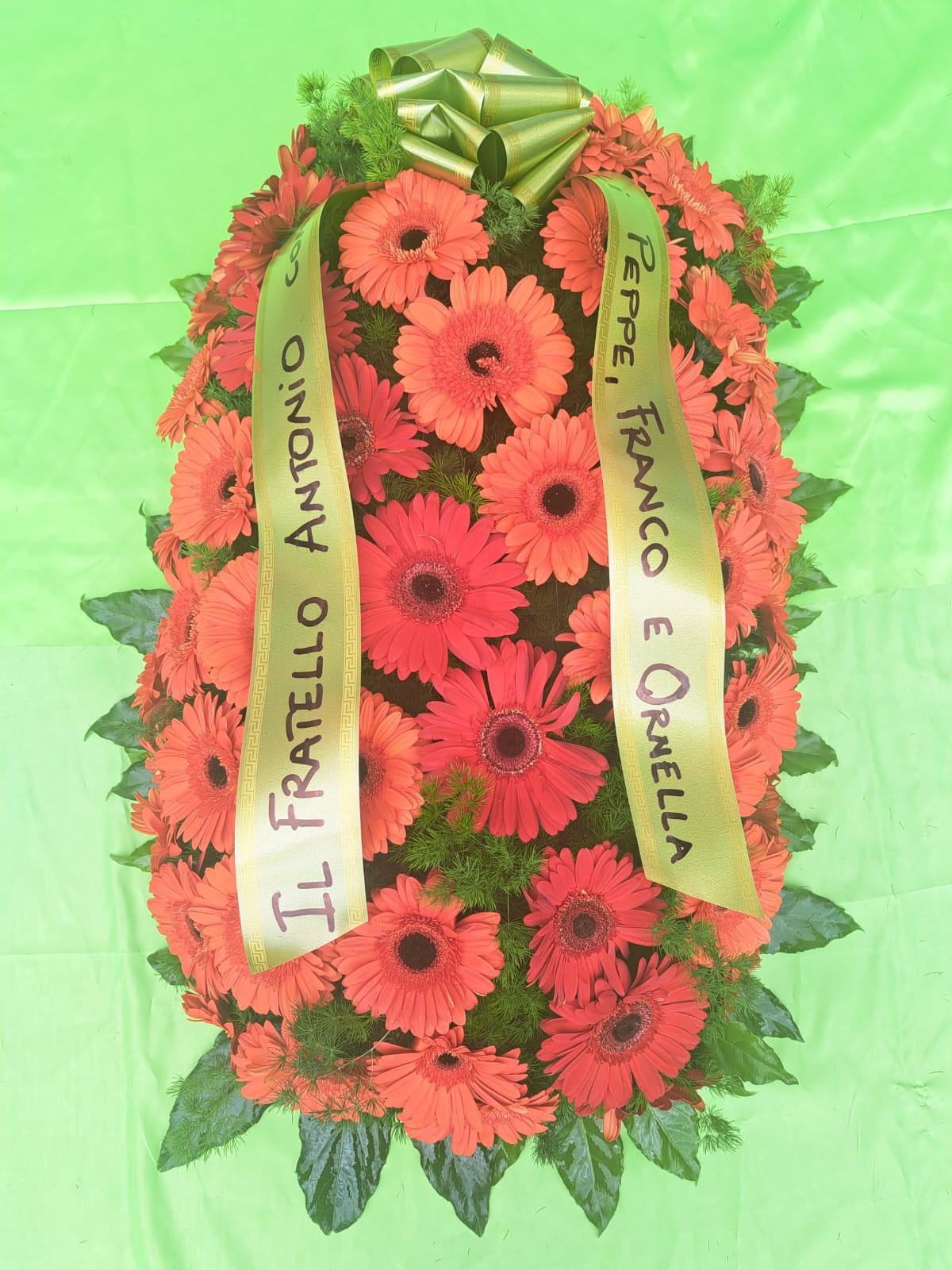 cuscino Apa 02
