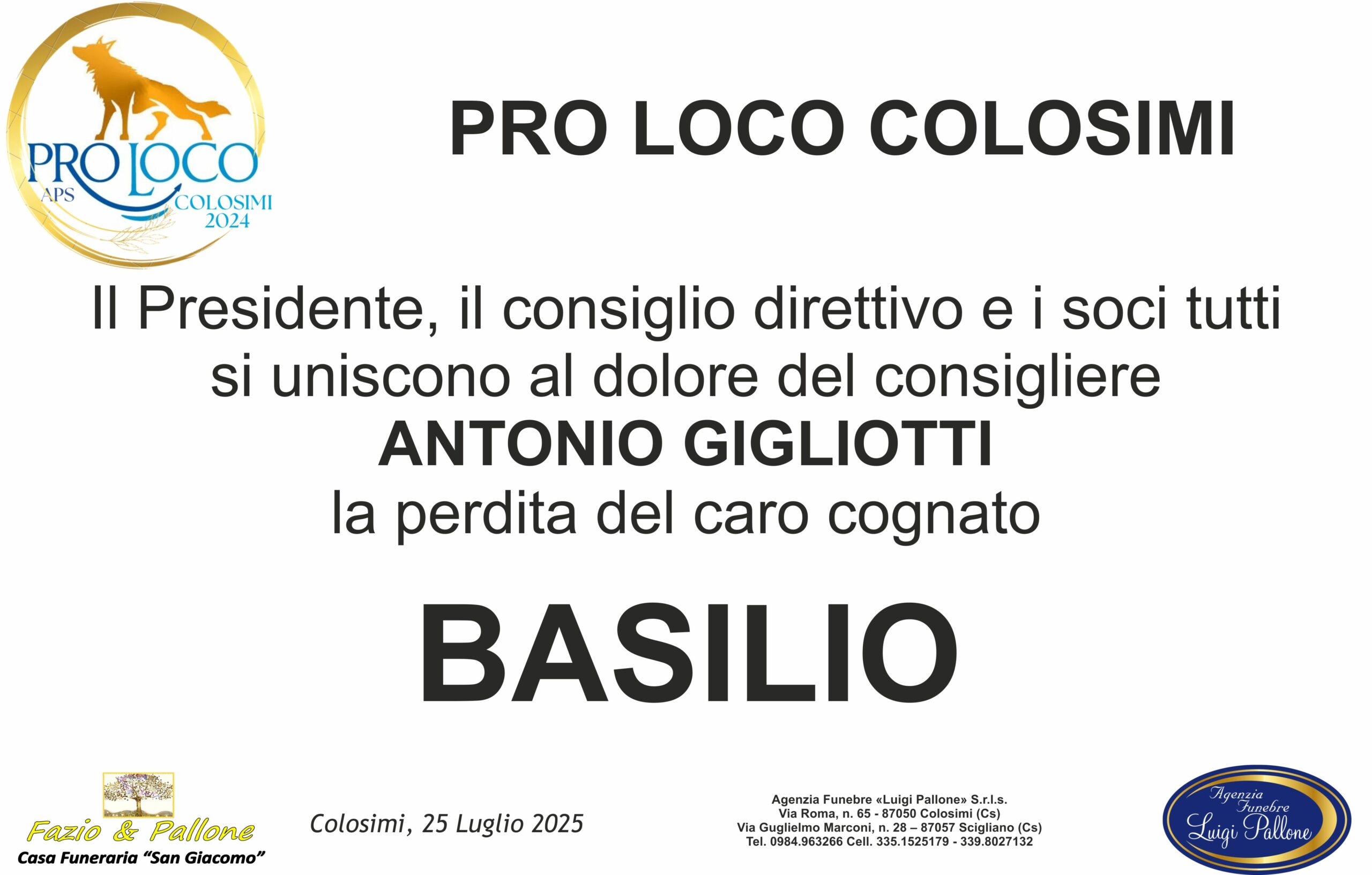 partecipazione Pro Loco