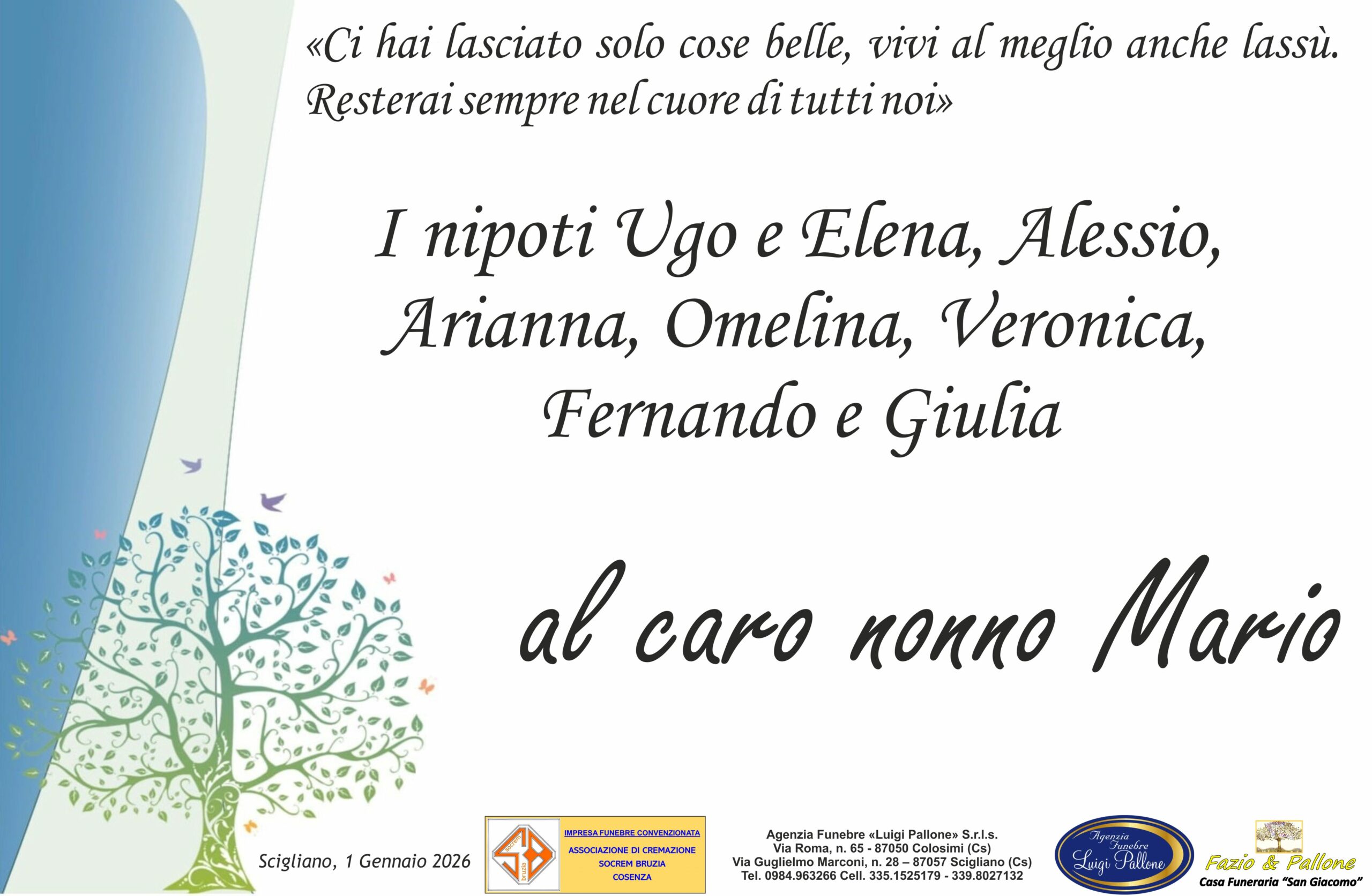 Dedica Pettinato