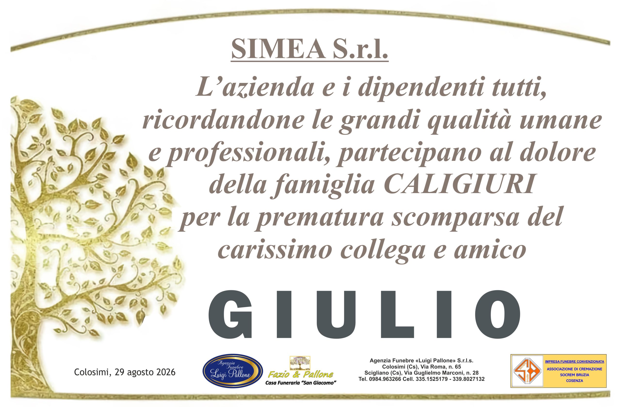 Dedica Caligiuri 1